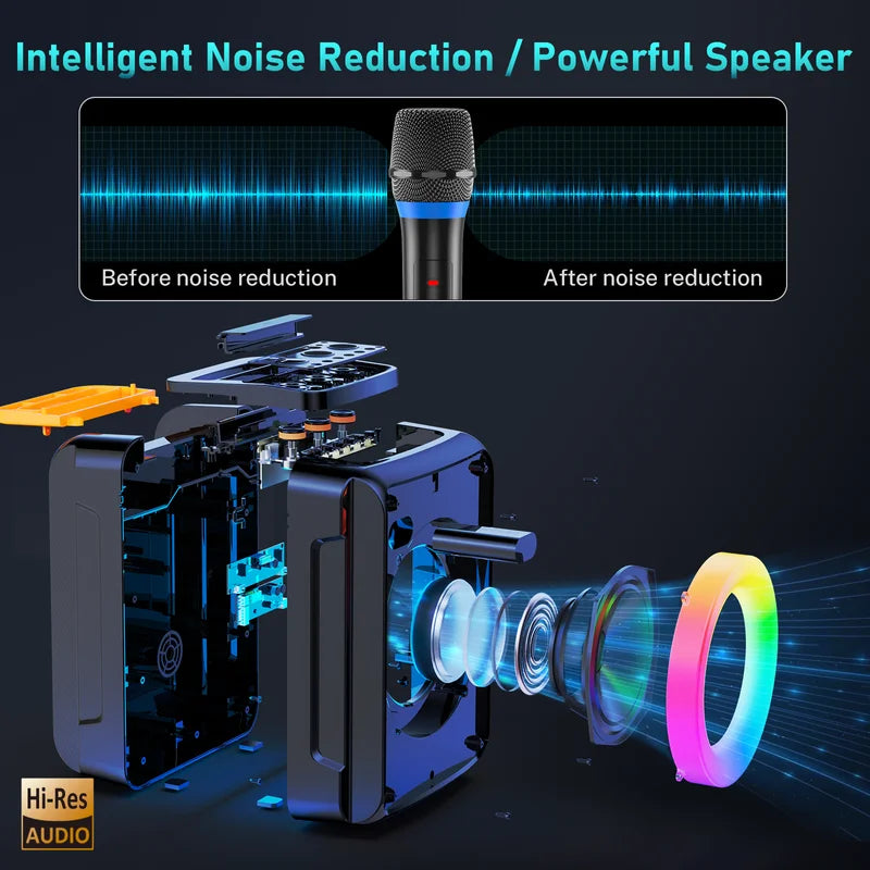 Portable Bluetooth Speaker with Microphone, LED Lighting, Wireless Party Speaker, AUX Input, USB, TF Card, D13
