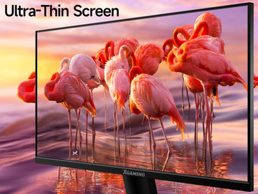 TMDTMD24S1 Ultra-Thin 24Inch 100Hz Computer Monitor, FHD 1080P LCD