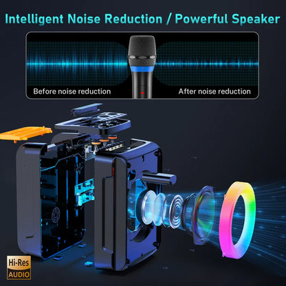 Portable Bluetooth Speaker with Microphone, LED Lighting, Wireless Party Speaker, AUX Input, USB, TF Card, D13